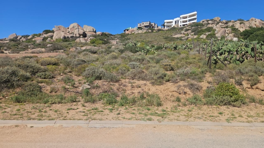 0 Bedroom Property for Sale in Blueberry Hill Western Cape